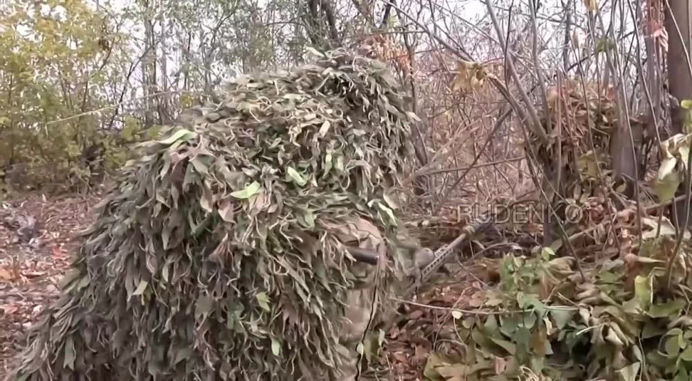 ������ �������: �������� ����������� ����� ������� �� ������� ���������� ������� ����� ��� �� ����-�������� ����������� ���