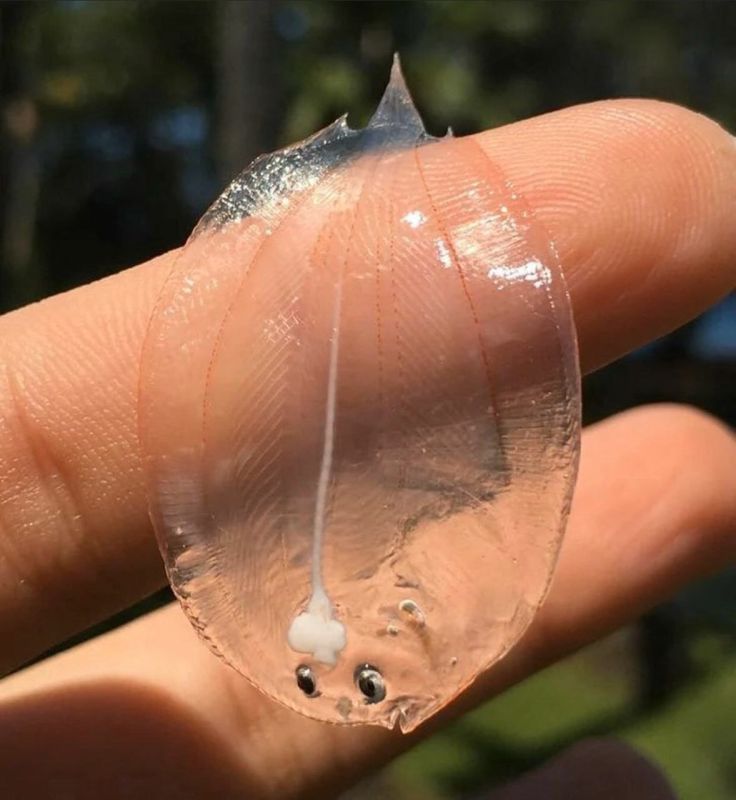 Водохозяйственная обстановка в Республике