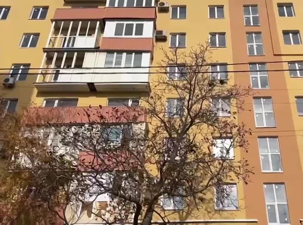 ������������ ��������� ������������ ��� � ��������� ������ ���������
