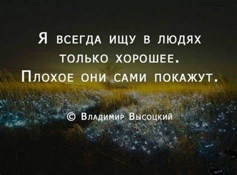 ������ �����. ��������� ���������-24