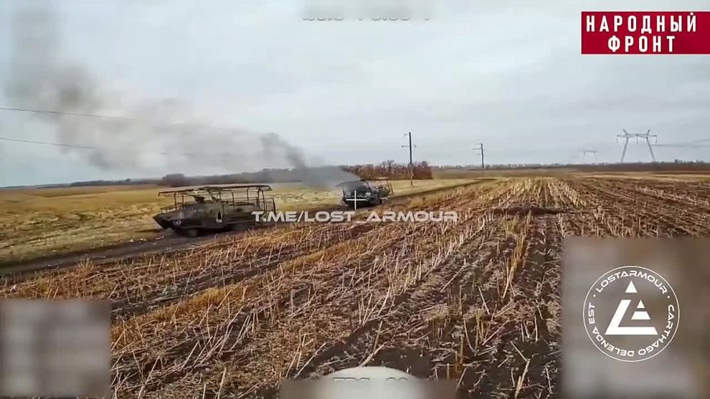 ����������� ���� �������� ������ ����������� ����������������� BOV �� ���������� ����������� � ������� FPV-������ �� �����������