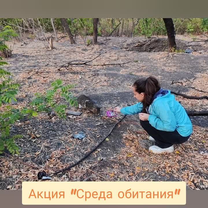 2 ������� � �������������� ������������� ������ ���������� ����������� ����� "����� ����� �� ������"