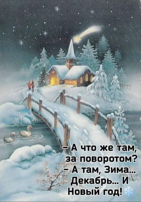 ��������� �����. ��������� ���������-24