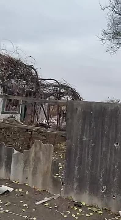 �������� �� �.�. ����� ������ �� ����������� ����������� ����� ������������ ������������ ����������� "������" �� �� �� �������. ������������ ������ ����������, ��������� ������������ � ����������
