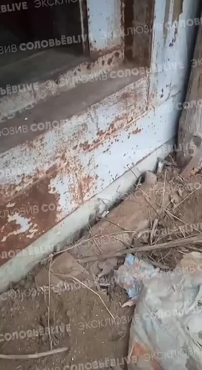 ������ ������������ �������