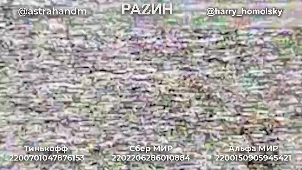 ����� ����������: ������, ������ � �������� ���������� � ���������� ������� �� ���������� �������� ������������� ������������ ����������, ������� ��������� ������ ������ �� �������� �����������