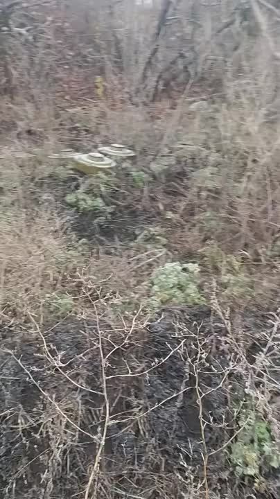 ������ �������: ��������� ������� "���� �����" ����������� � ������� � ���������� ������� �� ��������������� ���� �� ����������� �����������