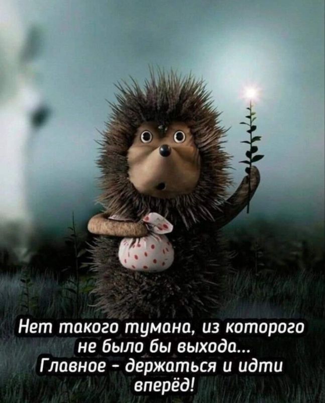 ������ �����. ��������� ���������-24