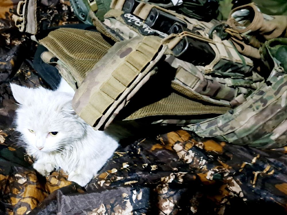 ������� ���������: ������ ����������� ��� ��������� �������� �� 56-�� ����� ��������� �����, ��� ���� ���� ��������� ������������