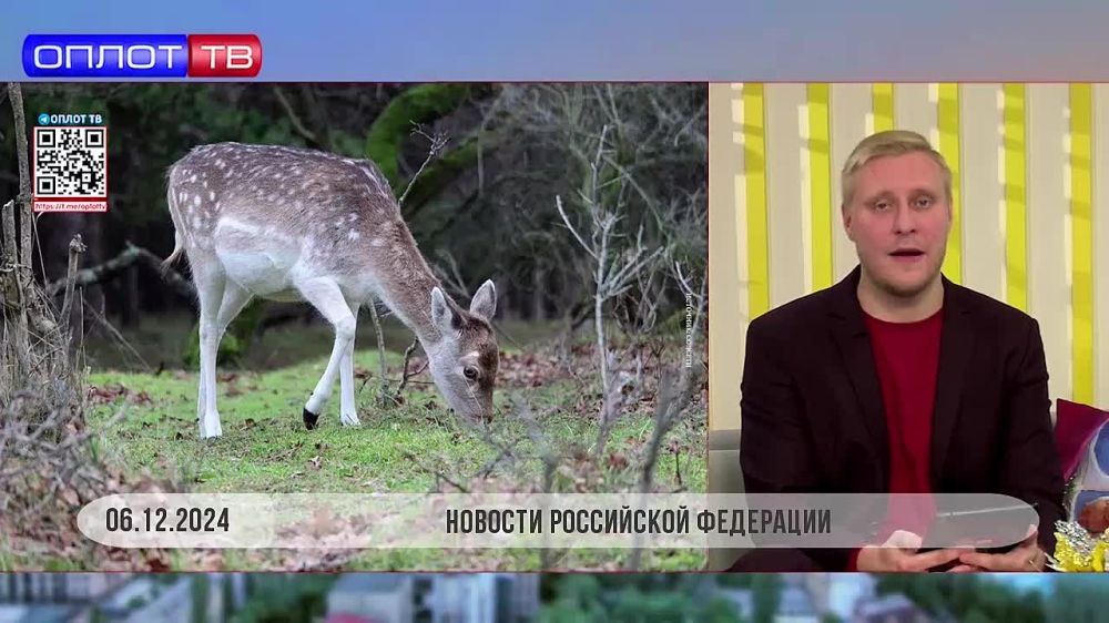 ���������� ��� ������������� ����� ������ ��������������