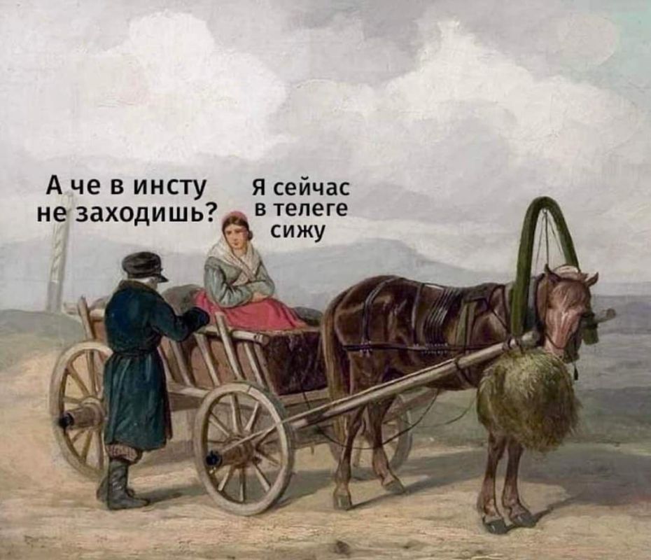 ������� �����. ��������� ���������-24