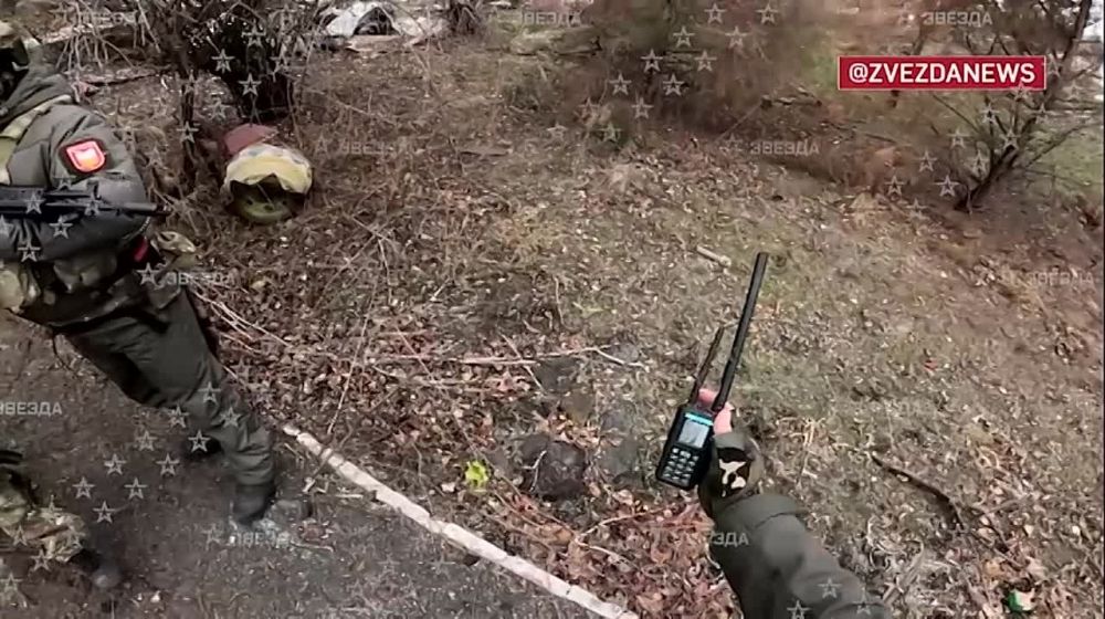 ������� � �������� ������ �� ����� ���-����� � ���, ������ � ��� � ��������