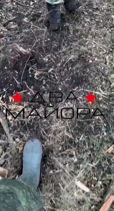 ���������� �����������. ���� �� ��������. ������ �����. �� � ������ ������ ��� ������