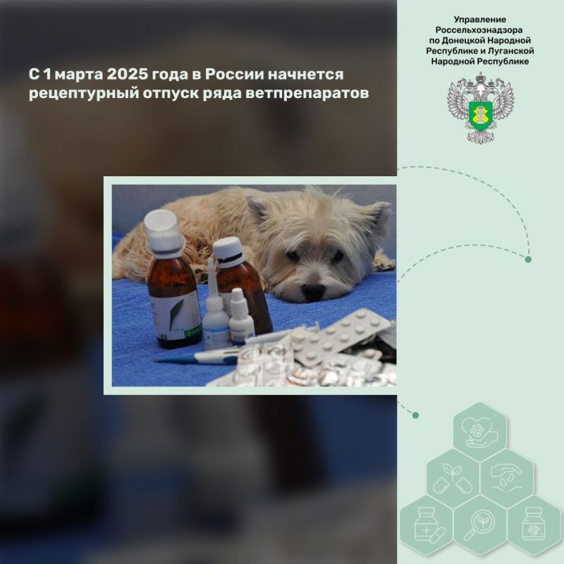 �������� ������������ ��������� ��������� �� �� 02.11.2022 �. � 776 ��������� �������� �������������, ������� ����� ����� ��������� �� ������� ��� ������������ ���������� ������������ � ���������������� �����������