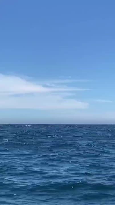 �������� �����.. ��������� ��� �����-������ - ������� �������� ����, ������� ����� ����������� �� ���� � ��������� �� ������� �� �������� ����������