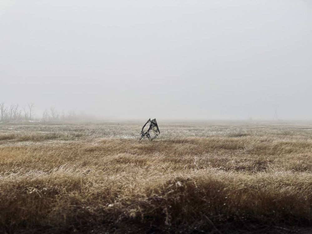 ����� ����������: ��������� �� ����������� �����������