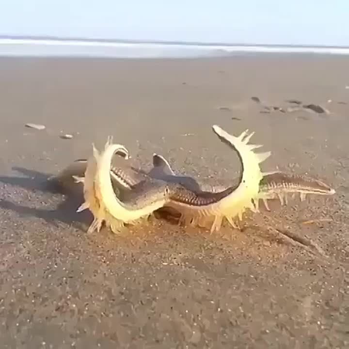 ������� ����� �������� ������������ � �����������, �� ���� ����� ��������������� ���������� ����� ����