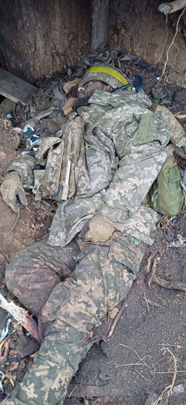 ������ �������: � ���� ��������� �� �������