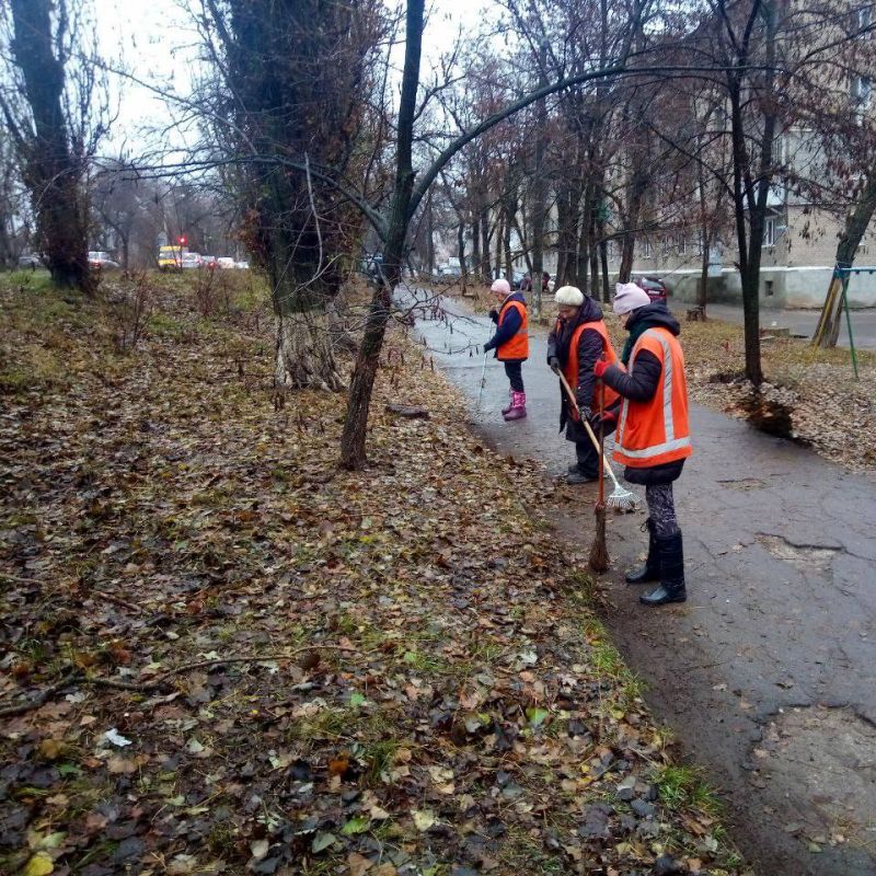 ������ ��������: ������ �� ������ ���������� ���������� ������������� ������ � ������ �������� ��������12 �������