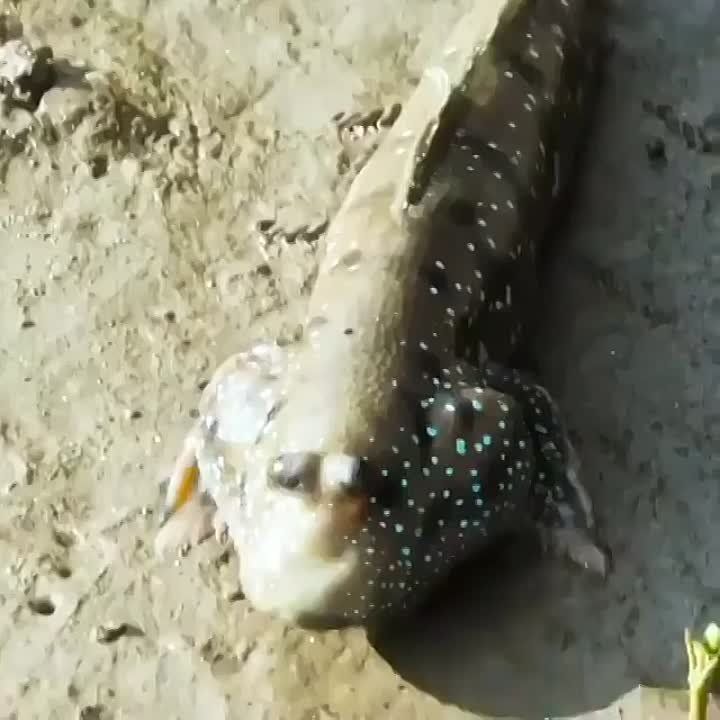 ���������.. ����, ������� ����� � ��������� ����, ����� ������ �� ����, ����� ���� �������� ���, ������� ����� ������������ ��� ������ �� �����