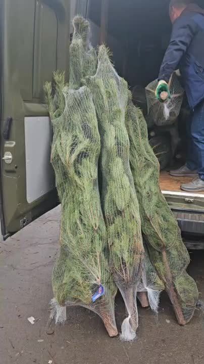 Ясиноватский муниципальный округ встречает волшебство Нового года с порцией праздничной радости!