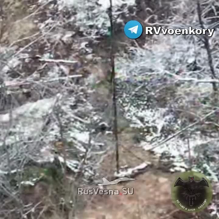 ����� � ����� ���: ������� �������� ���������� ���, �������� ������ ������