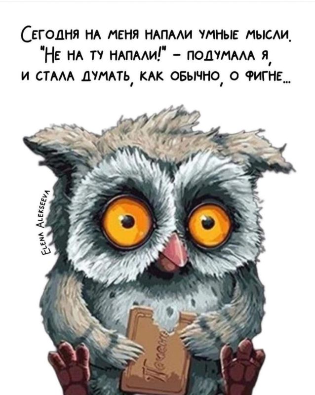 ������� �����. ��������� ���������-24