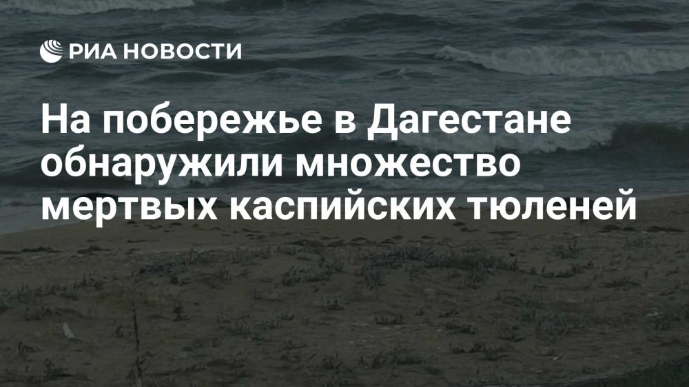 �� ��������� � ��������� ���������� ��������� ������� ���������� �������