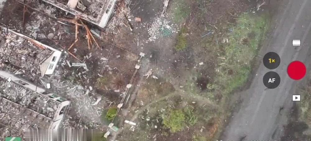 ������ �������: ���������� 37 ��������� ����������� �������������� ������� �� �� �� ������� "���������" fpv-������� ��������� ���������� ��������������� International MaxxPro � �������� � �.�