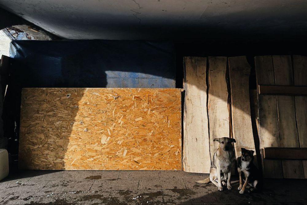 ����� ��������: ��� ����� ��� �������� ����� ������ � �������� � �����-��������� ���������� ���������