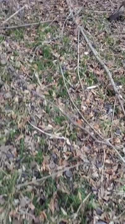 ������ �������: ��� ���� ������ ����������� ����������� "������" �� �� �� ������� �� ����-�������� �����������