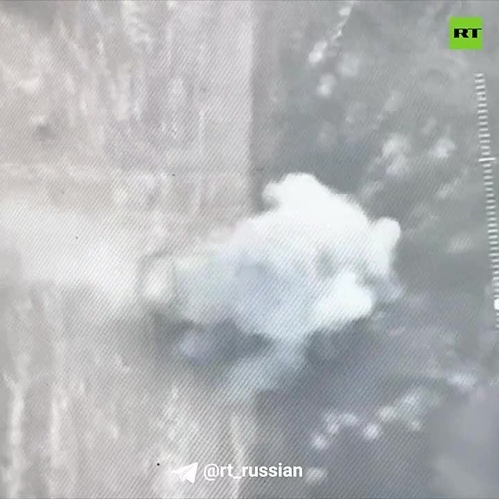 ���������� �� �������� ����� ������������ ���������� ������ �������� (���)