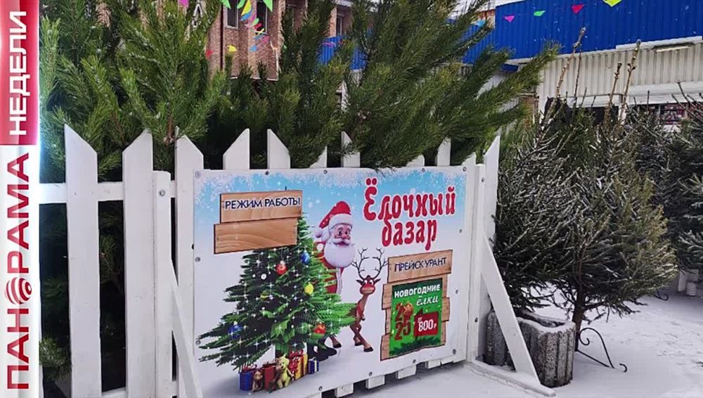 � ������� � �������. �� ����� ���� ���� � ���? 15.12.2024, ��������� ������ � ������� �������