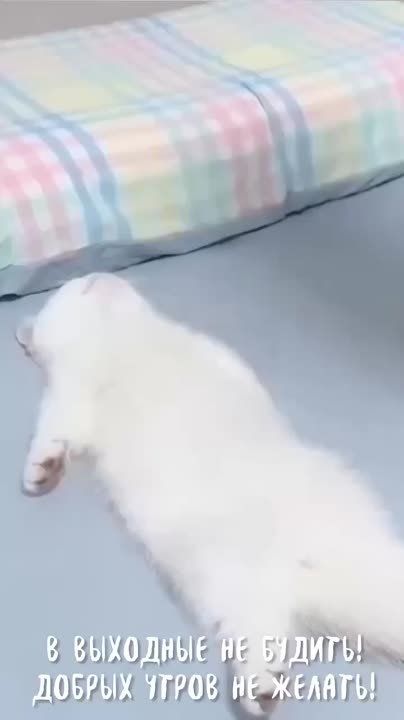 ���� �������� ����������� ���!