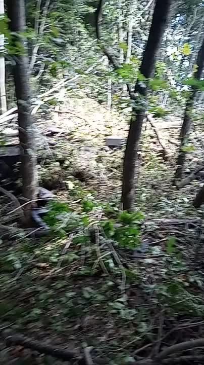 ������ �������: �� �������� ������� �� ������ �����