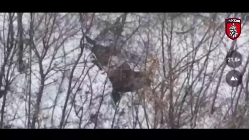 Более 10 пунктов взлета БПЛА ВСУ уничтожены Отрядом «Невский»