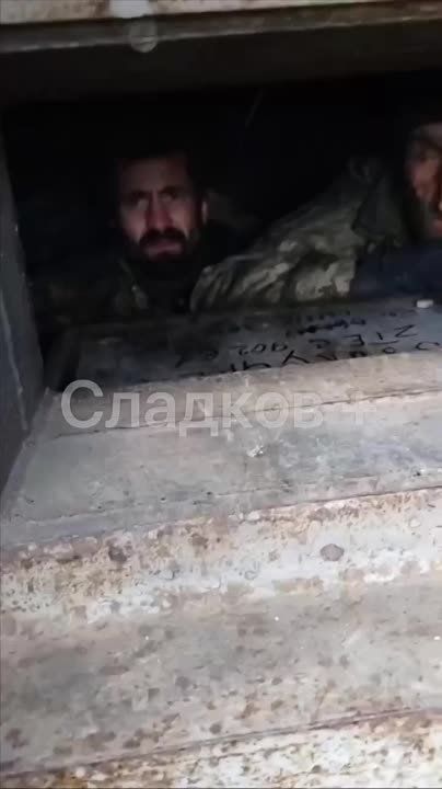 ��������� �������: ����� ������� ����������� ����������� (������� ���, ������������ ���������, ����� ��������� ������� ����� �� �������, � ��� �����, ������ ���������� � ������������ �����, ������, ��������� � ������� ���...