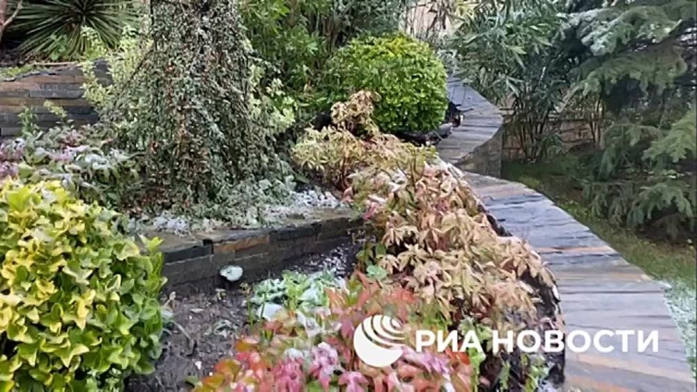 Бывший особняк арестованного по делу о хищении экс-мэра Сочи Алексея Копайгородского и его супруги, подаренный донецкому фонду «Мир детства», начал принимать на реабилитацию первых постояльцев из новых регионов РФ