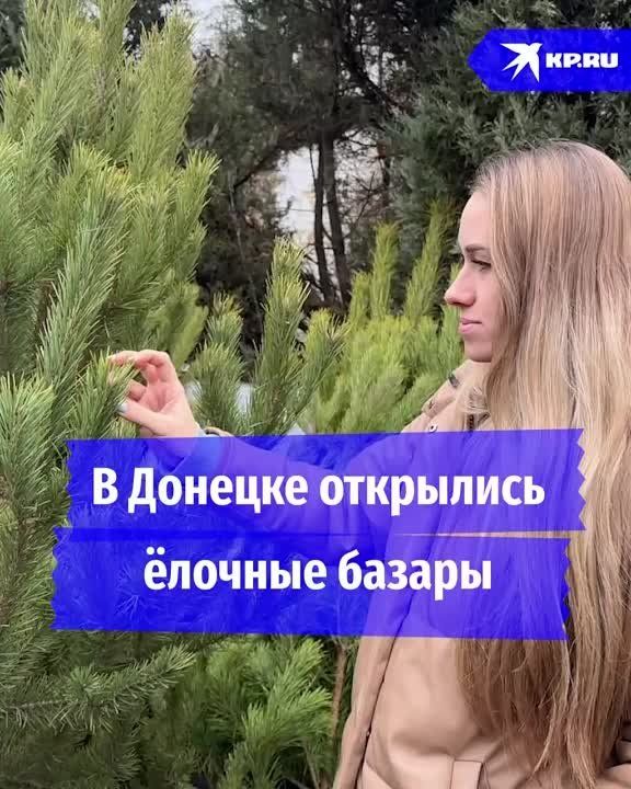 �� ��� ������ �� ������ 2025-�� ���� � ������� ��������� ������� ������