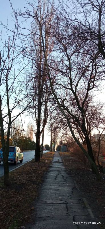 ����� �����: �� ��������� ����� ��� ������ �������� � ������� ������������ ������ �� ���������������