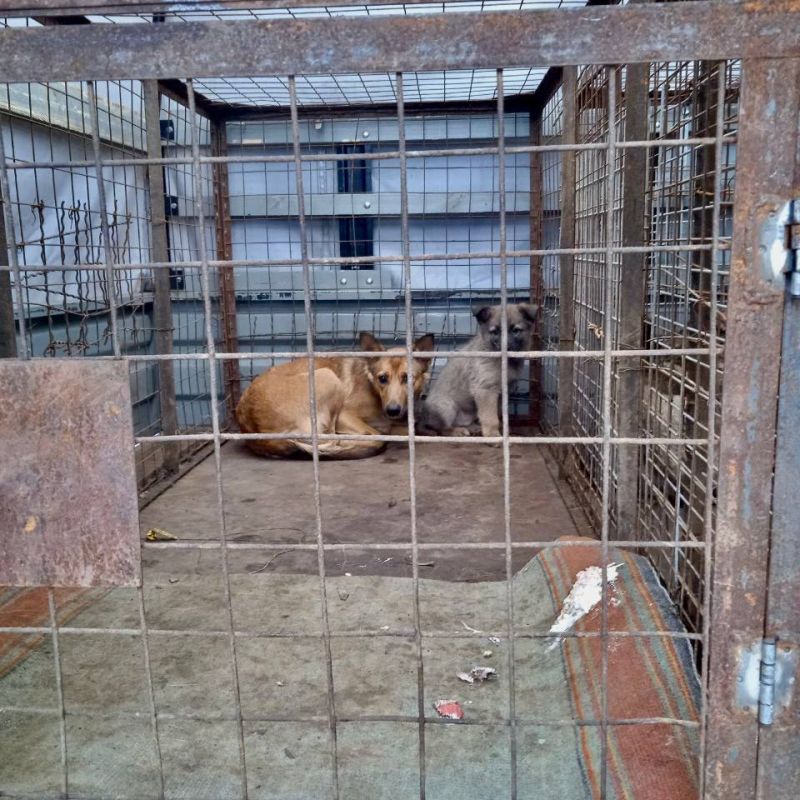 ������ ��������: ����� ��������� �������� � ������������ � ������������ ������� ������