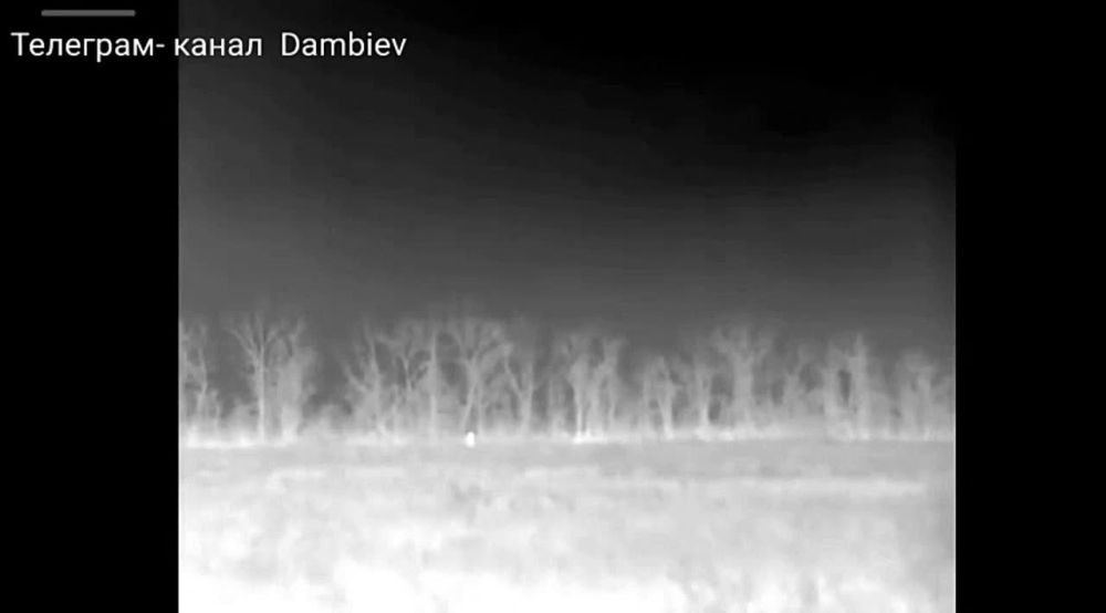 ������ �������: �������� ���������� �������� ����������� "������" �� �� �� ������� ���������� ������������ ������� �� ����-�������� �����������