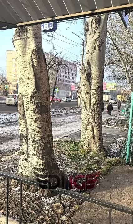 �������� ����������: ���������� ������� �� �������� � ��������