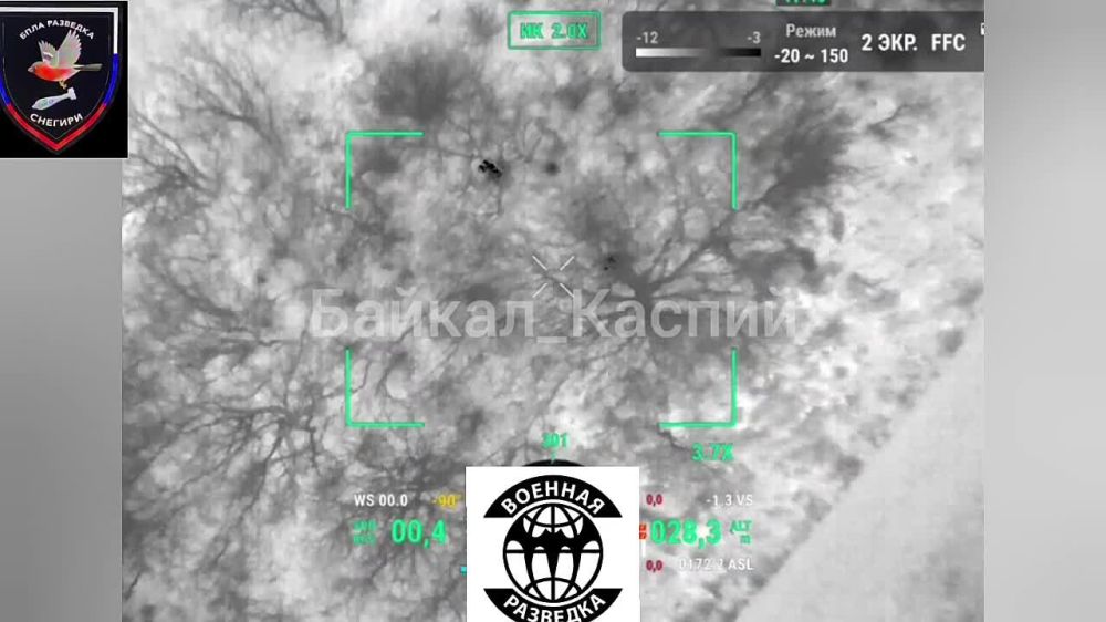 ������ �������: ���������� 37 ��������� ����������� �������������� ������� �� �� �� ������� ���������� ���������� ������ ���������� �� ����-�������� �����������