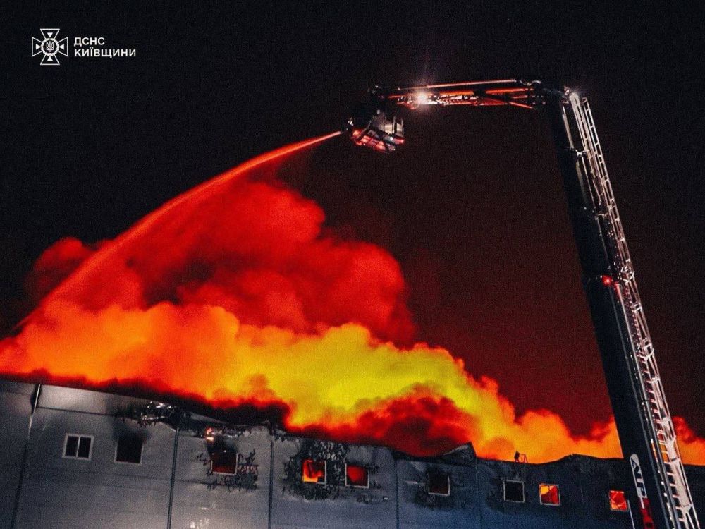 ���� ����: ������� ����� ���������� ��� �����������/���������� 36 ���������� �������������