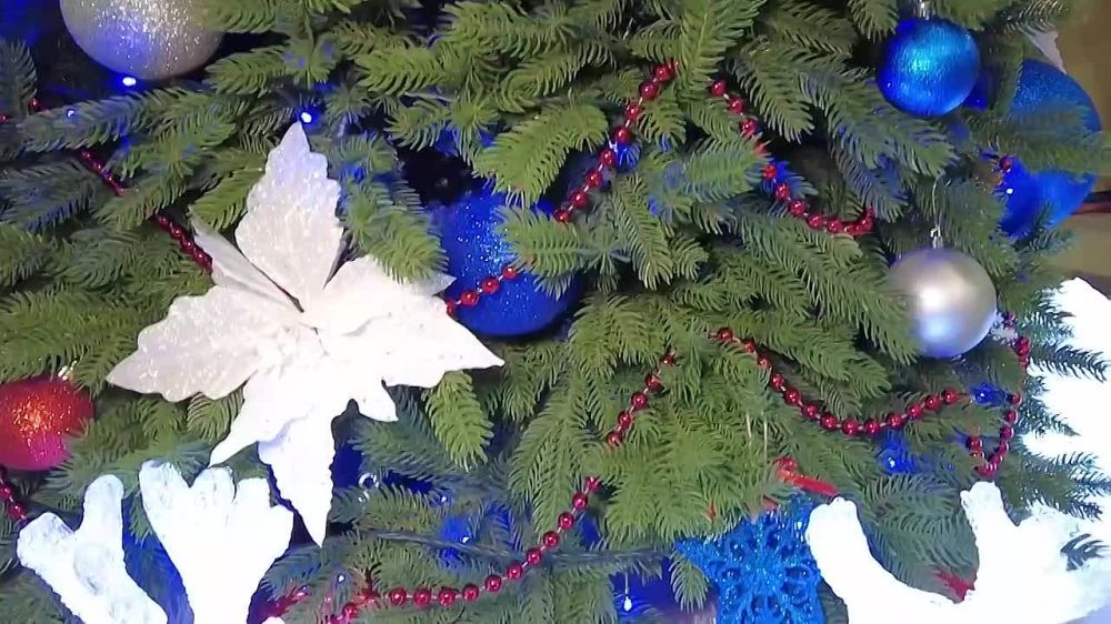 ������� �������: 6-������ ����, 11-������ ����� � 13-������ ������ ������� � ������� � ������� �����