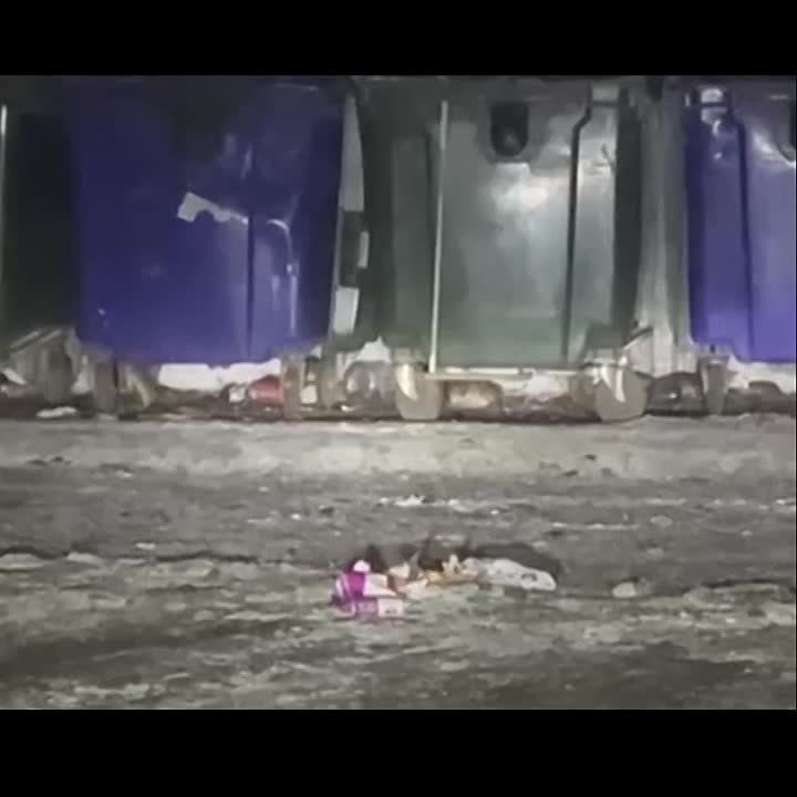 #��������. ������ ����