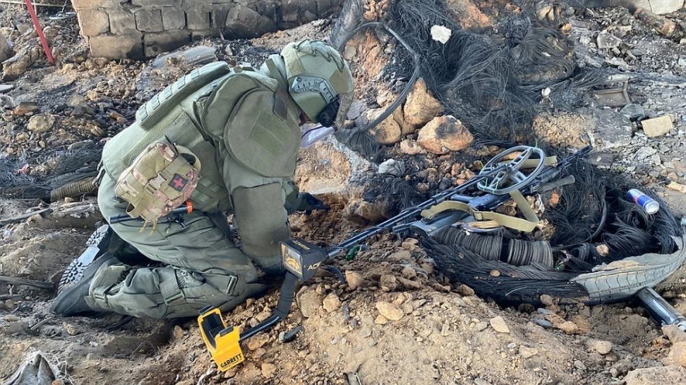 ������ � 2022 ���� ���������� � ��� ����� 800 ����� ������������� ���������