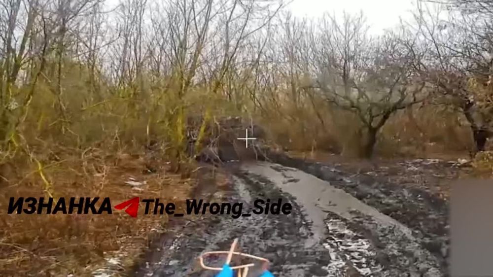 ���� ��������: ������ ���������� FPV-������ �� ������������ ���������� � ������� �������