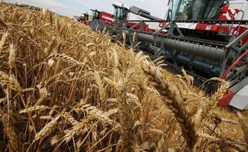 Информация об участниках отбора на предоставление субсидий из бюджета Донецкой Народной Республики сельскохозяйственным товаропроизводителям на возмещение части понесенных затрат на проведение агротехнологических работ в...